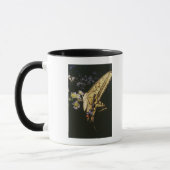 Frack-Schmetterling auf Blume, nahes hohes Tasse (Links)