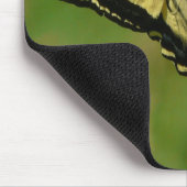 Frack-Schmetterling auf einer BlackBerry-Blüte Mousepad (Ecke)