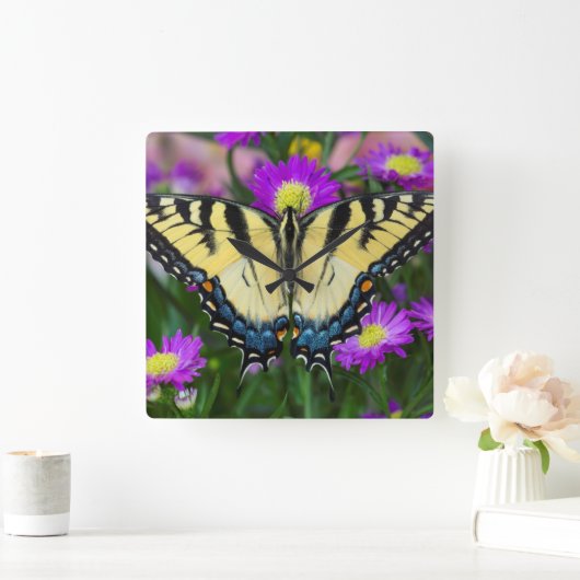 Frack-Schmetterling auf Gänseblümchen Quadratische Wanduhr (Zuhause)