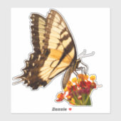 Frack-Schmetterling auf Milchkraut-Blume Aufkleber (Blatt)