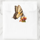 Frack-Schmetterling auf Milchkraut-Blume Quadratischer Aufkleber (Tasche)