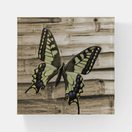 Frack-Schmetterling Briefbeschwerer