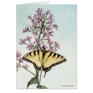 Frack-Schmetterling durch Michael Martin