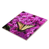Frack-Schmetterling im Blume Fliese (Seite)