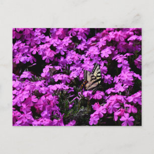 Frack-Schmetterling im Blumenbeet Postkarte
