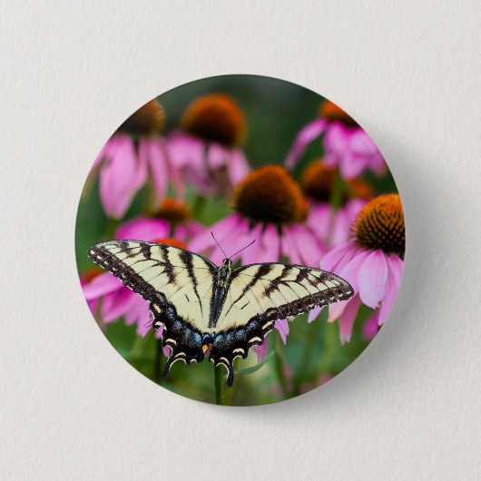 Frack-Schmetterling im Ostteil Button (Vorderseite)