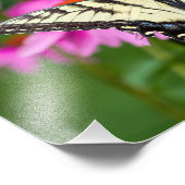 Frack-Schmetterling im Ostteil Fotodruck (Ecke)