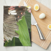 Frack Schmetterling Makro Handtuch (Viertel Falte)