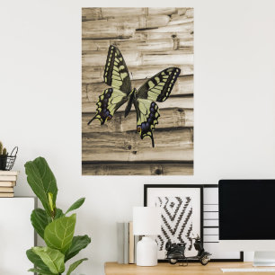 Frack-Schmetterling Poster