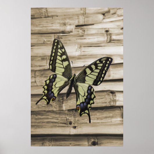 Frack-Schmetterling Poster (Vorne)