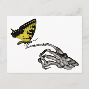 Frack-Schmetterling Postkarte