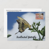 Frack-Schmetterling-Postkarte Postkarte (Vorne/Hinten)