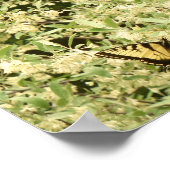 Frack-Schmetterlinge auf dem blühenden Strauß Poster (Ecke)