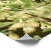 Frack-Schmetterlinge auf dem blühenden Strauß Poster (Ecke)