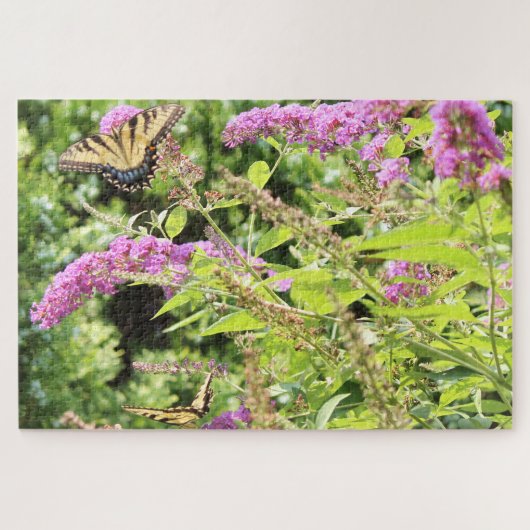 Frack-Schmetterlinge auf Schmetterlingsstrauch Puzzle (Horizontal)
