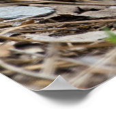 Frack-Schmetterlingsmolets Poster (Ecke)