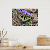 Frack-Schmetterlingsmolets Poster (Küche)