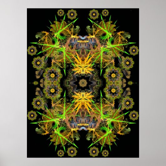 FracktalKan Poster (Vorne)