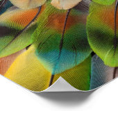 Fractal Design Of Lovebird Feathers Poster (Ecke)