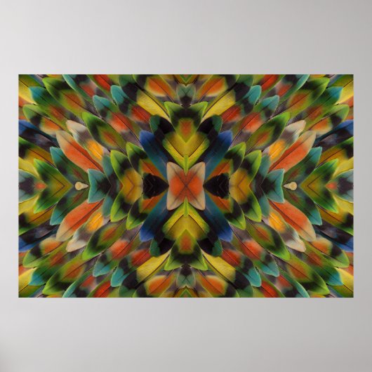 Fractal Design Of Lovebird Feathers Poster (Vorne)