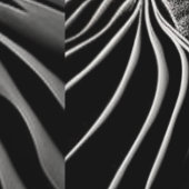Fractal Flow Tapete (Naht)