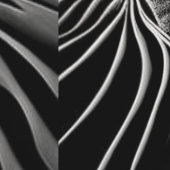 Fractal Flow Tapete (Naht)