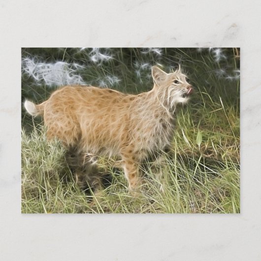 Fractalius Bobcat Postkarte (Vorderseite)