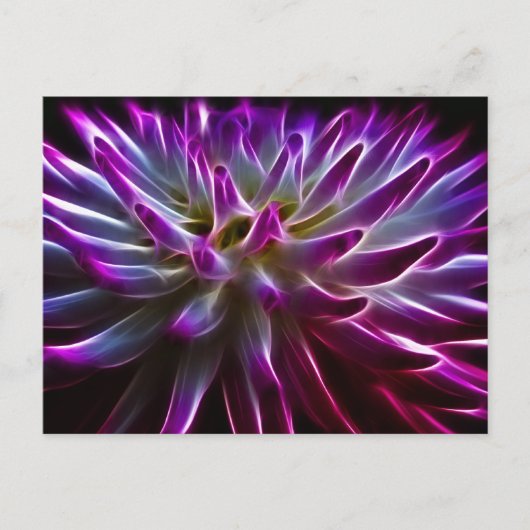 Fractalius Dahlia Postkarte (Vorderseite)