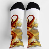 Fractured Sun Dragon Socken (Oben)