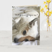 Frag auf Verzeihung von Hundeschlittenkarten Karte (Gelbe Blume)