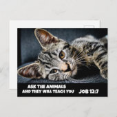 FRAG DER NIEDLICHEN TIERE, TABBY CAT BIBLE Postkar Postkarte (Vorne/Hinten)