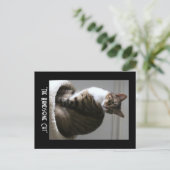 Frag die gut aussehende Katze Postkarte (Stehend Vorderseite)