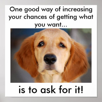 Frag für das, was du will poster