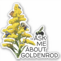 Frag mir über Goldenrod und Bestäuber
