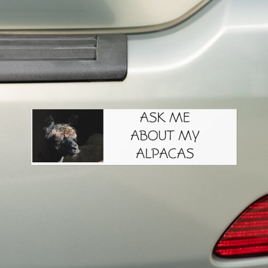 FRAG MIR ÜBER MEINE ALPACAS AUTOAUFKLEBER (Auf Auto)