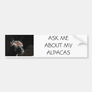 FRAG MIR ÜBER MEINE ALPACAS AUTOAUFKLEBER