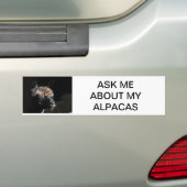 FRAG MIR ÜBER MEINE ALPACAS AUTOAUFKLEBER (Auf Auto)