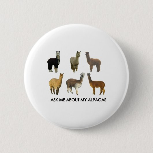 Frag mir über meine Alpakas Button (Vorderseite)