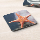 Frag nie einen Sternenfisch in Richtung Getränkeuntersetzer (Linke Seite)