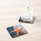 Frag nie einen Sternenfisch in Richtung Getränkeuntersetzer (Rechte Seite)