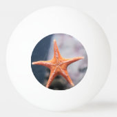 Frag nie einen Sternenfisch in Richtung Tischtennisball (Rückseite)