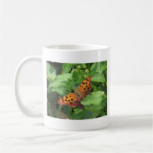 Frage Mark Butterfly über Lantana Kaffeetasse (Links)