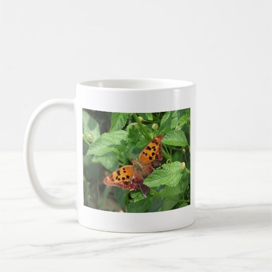 Frage Mark Butterfly über Lantana Kaffeetasse (Links)
