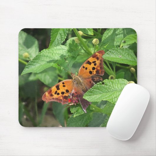 Frage Mark Butterfly über Lantana Mousepad (Mit Mouse)