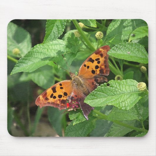 Frage Mark Butterfly über Lantana Mousepad (Vorne)