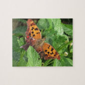 Frage Mark Butterfly über Lantana Puzzle (Horizontal)