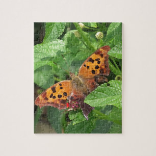 Frage Mark Butterfly über Lantana Puzzle