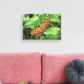 Frage Mark Butterfly über Lantana Wrapped Canvas Leinwanddruck (Insitu (Wohnzimmer))
