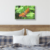 Frage Mark Butterfly über Lantana Wrapped Canvas Leinwanddruck (Insitu (Schlafzimmer))