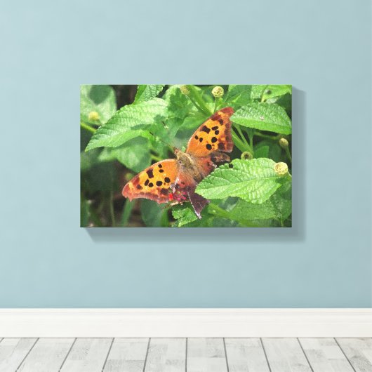 Frage Mark Butterfly über Lantana Wrapped Canvas Leinwanddruck (Insitu (Holzboden))